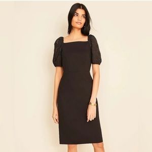 NWOT Ann Taylor Eyelet Mixed Media Square Neck Sheath Dress